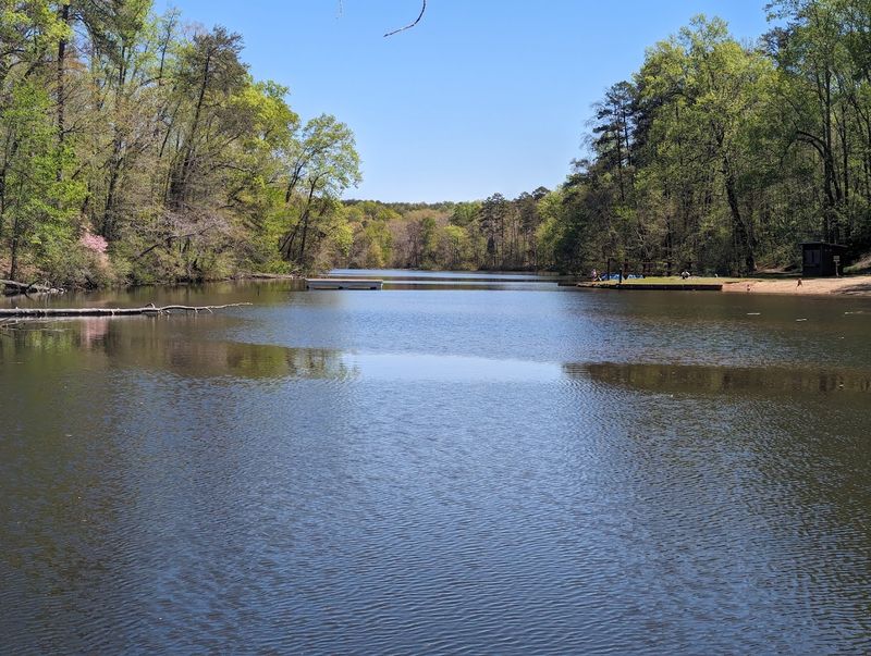 Swimming Area with a Small Beach Swimming Area with a Small Beach