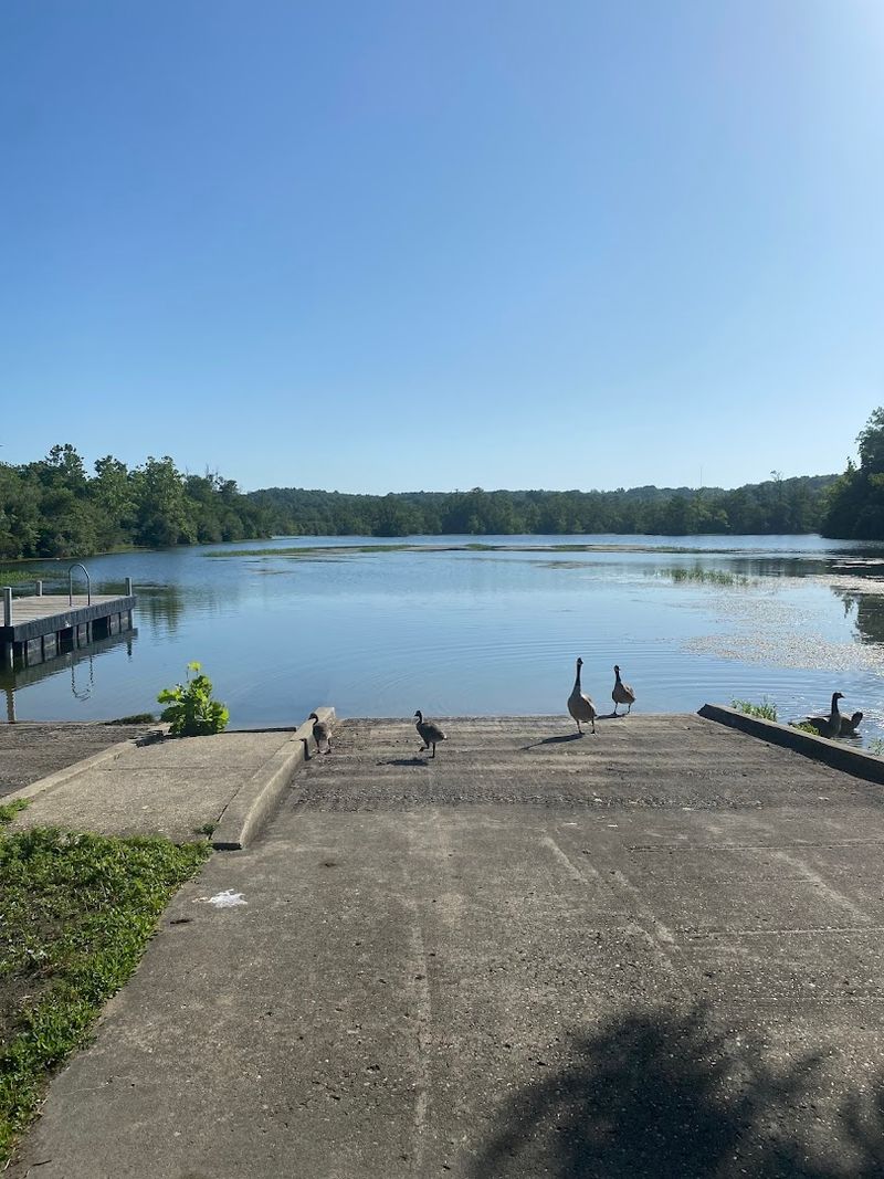 Swimming Beach and Concession Area for Summer Days