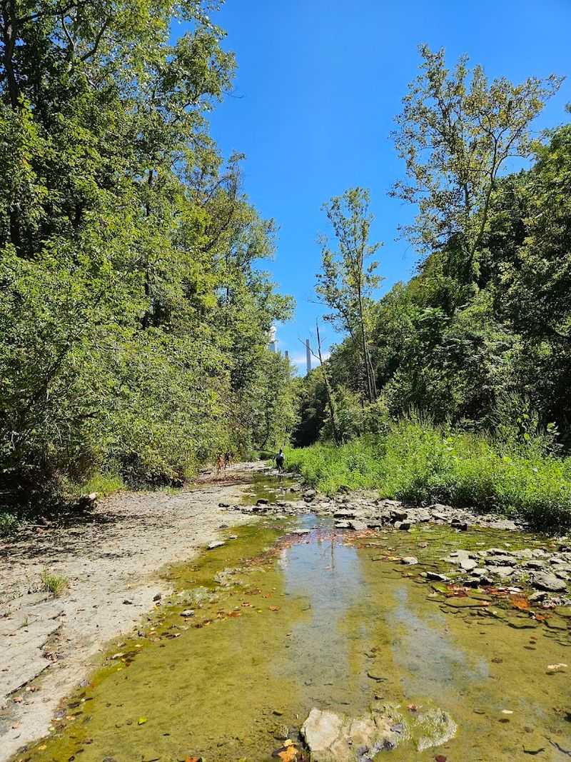 Swimming, Pools, and Creek Wading for Hot Days Swimming, Pools, and Creek Wading for Hot Days
