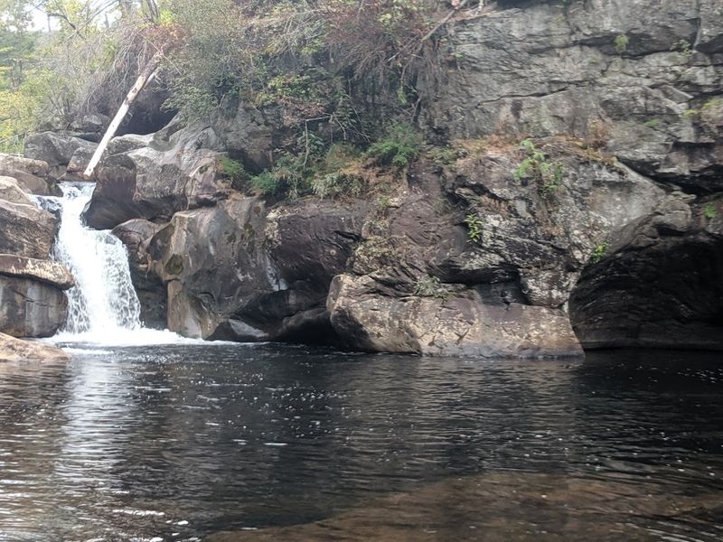 Swimming and Cliff Jumping: The Fun Begins at the Bottom Swimming and Cliff Jumping: The Fun Begins at the Bottom