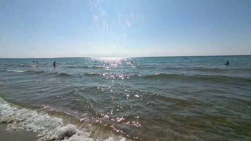 Swimming in Crystal-Clear Water