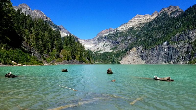 Swimming in the Glacier-Fed Water