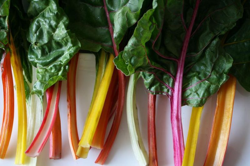Swiss Chard Swiss Chard