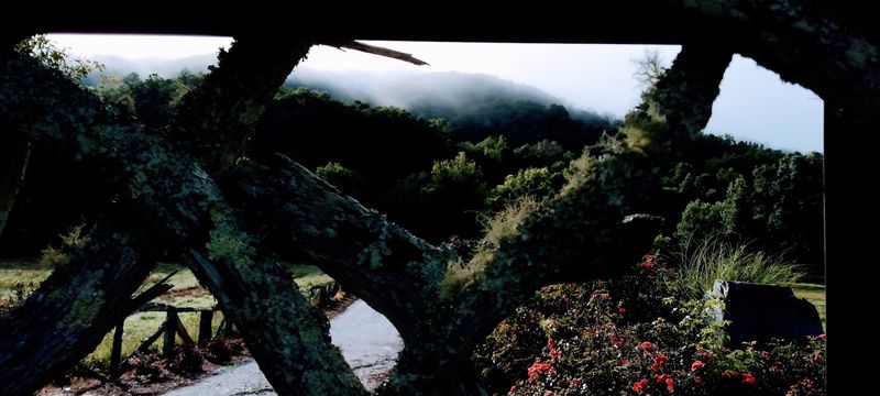 Table Rock State Park: A Hiker's Dream Just Minutes Away