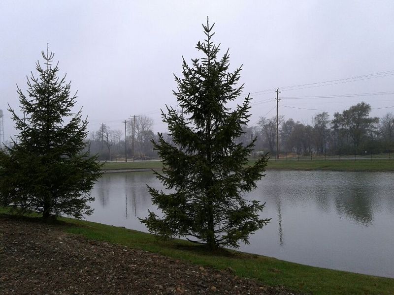 Take a Scenic Drive Through Will County's Back Roads