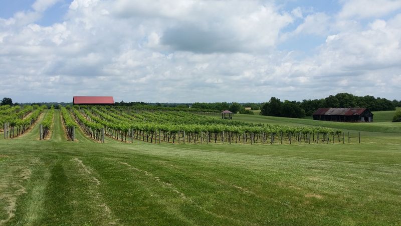 Talon Winery & Vineyards – Lexington, Kentucky Talon Winery & Vineyards – Lexington, Kentucky