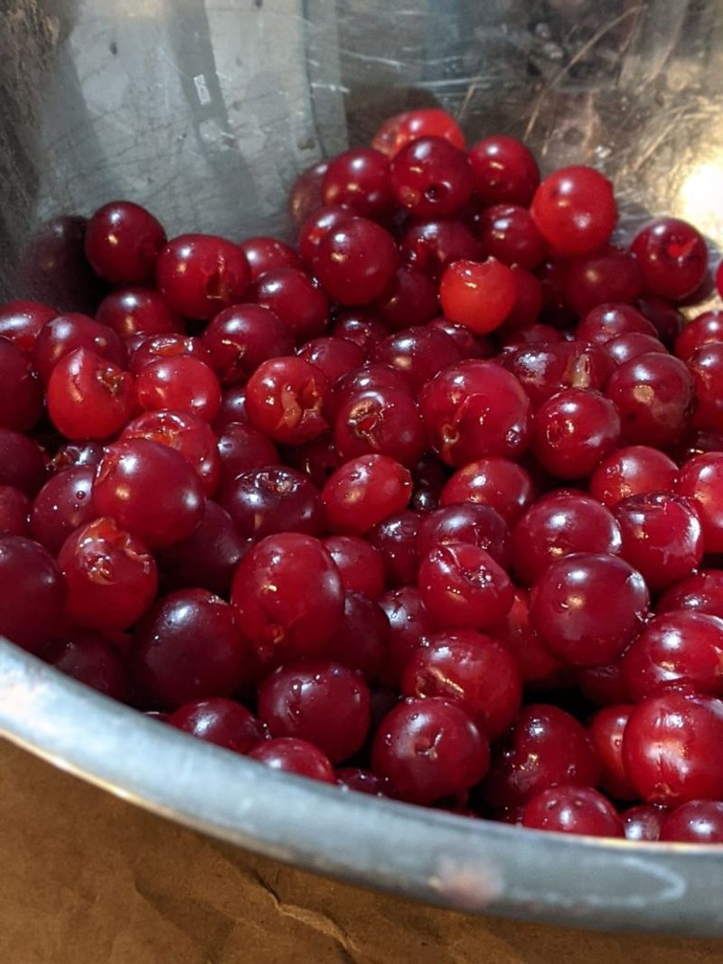 Tart Cherries