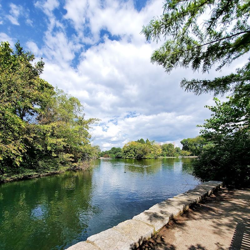Taylor Swift's Bench — A Sweet Surprise by the Pond Taylor Swift's Bench — A Sweet Surprise by the Pond