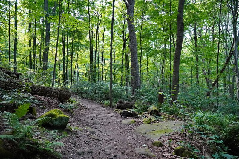 The 0.7-Mile Loop That Packs in a Lot The 0.7-Mile Loop That Packs in a Lot