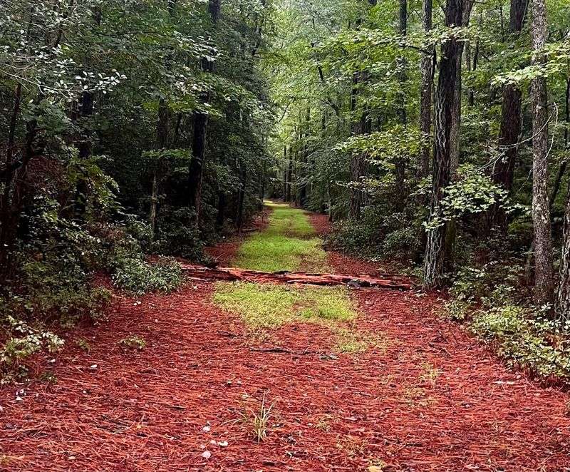 The Algonquin Trail Adventure