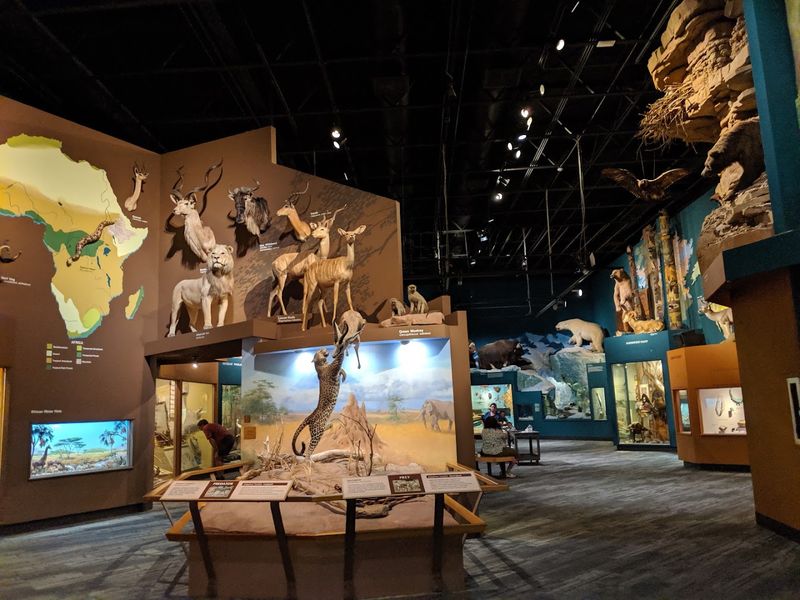 The Ames Family Curiosity Center for Young Explorers