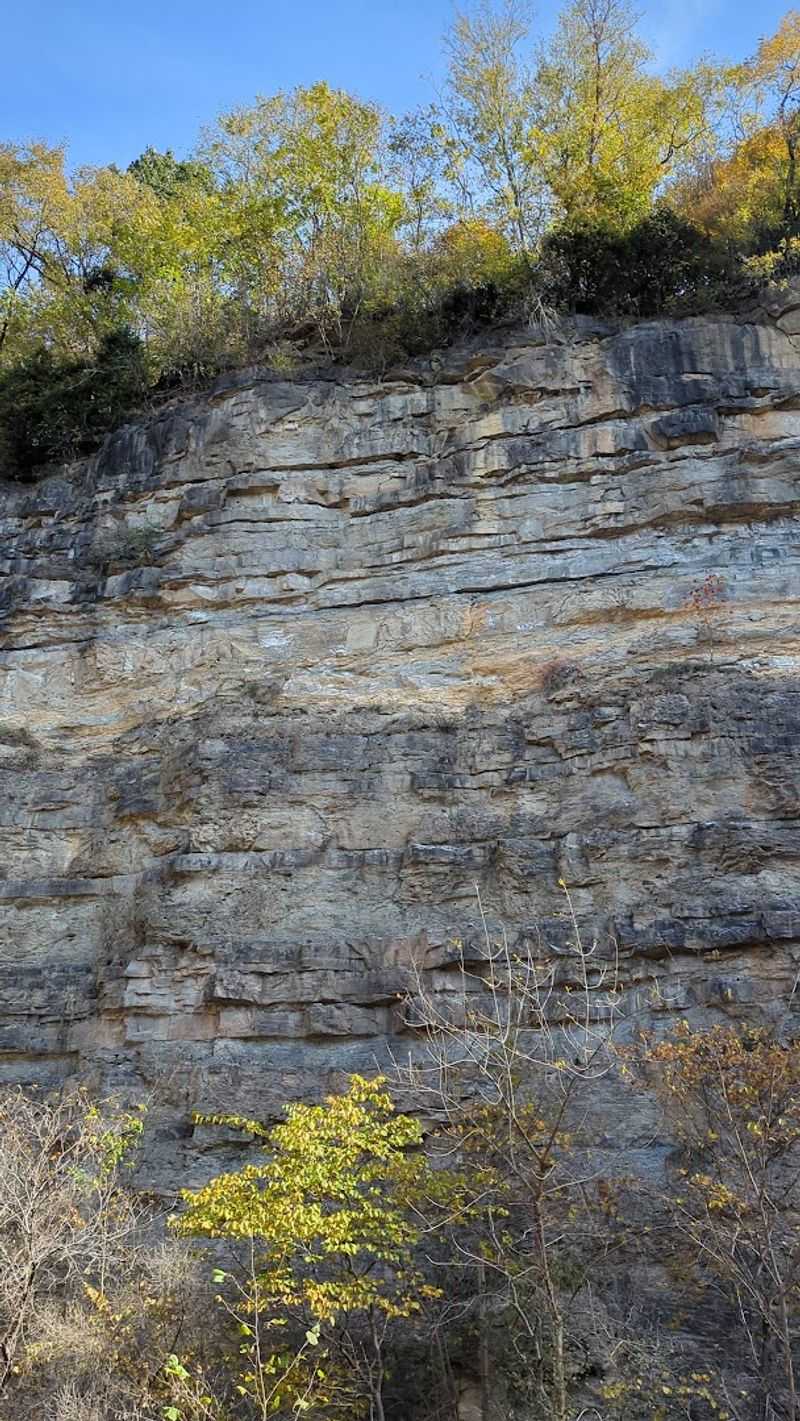 The Ancient Rock Wall Hidden Near the Entrance