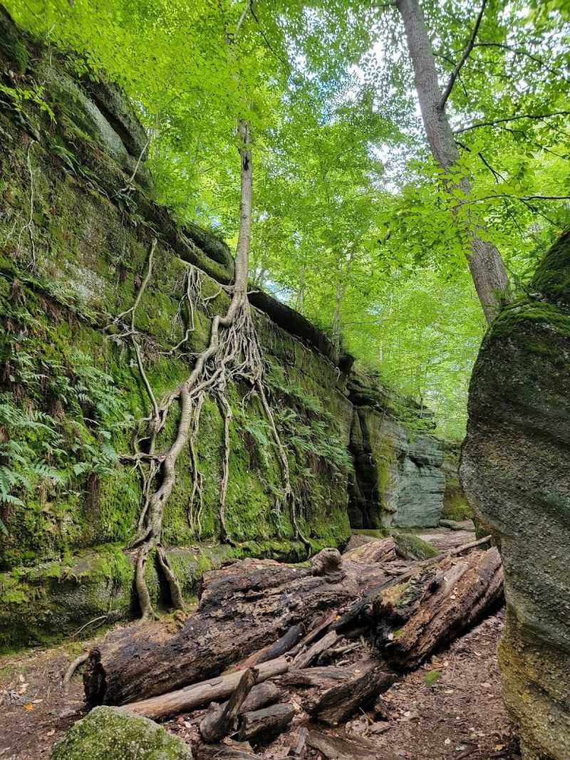 The Ancient Sandstone Rock Formations