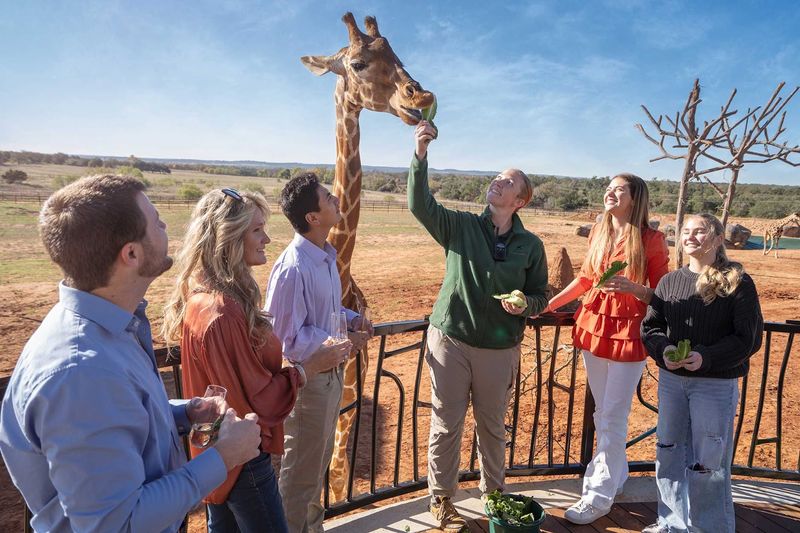 The Animal Encounter Tours: Small Groups, Big Memories