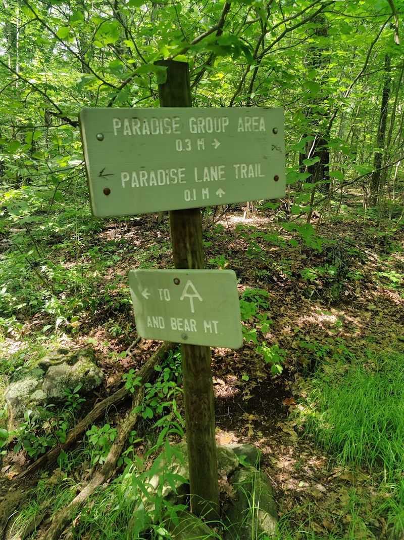 The Appalachian Trail Connection: Walk a Legendary Path The Appalachian Trail Connection: Walk a Legendary Path