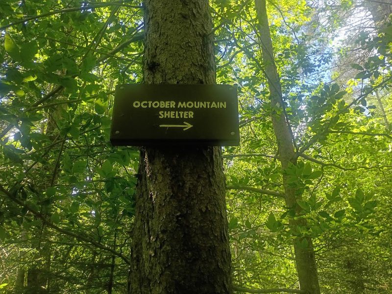The Appalachian Trail Runs Right Through It