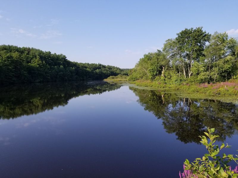 The Assabet River: Maynard's Flowing Heartbeat