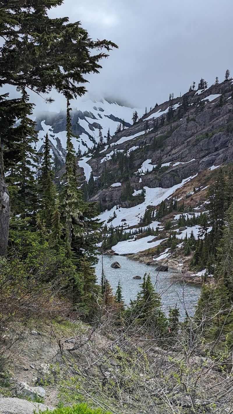 The Bagley Creek Experience: Sights and Sounds