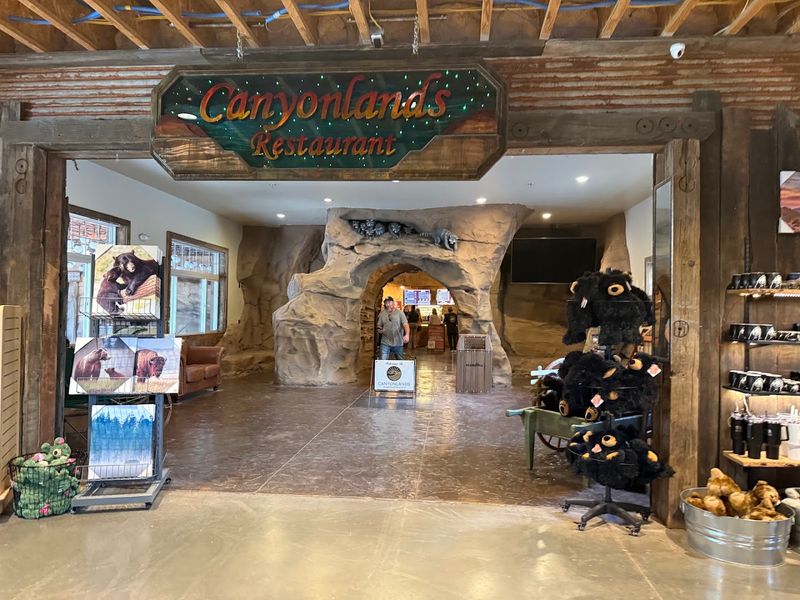 The Bearizona App Discount You Should Not Skip The Bearizona App Discount You Should Not Skip
