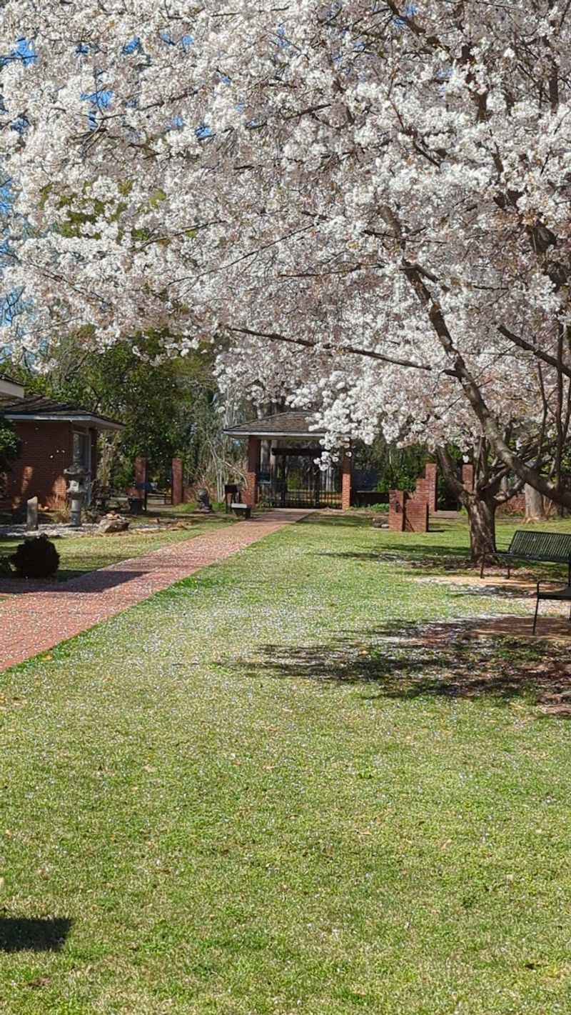 The Beautiful Grounds and Gardens of Ivy Green