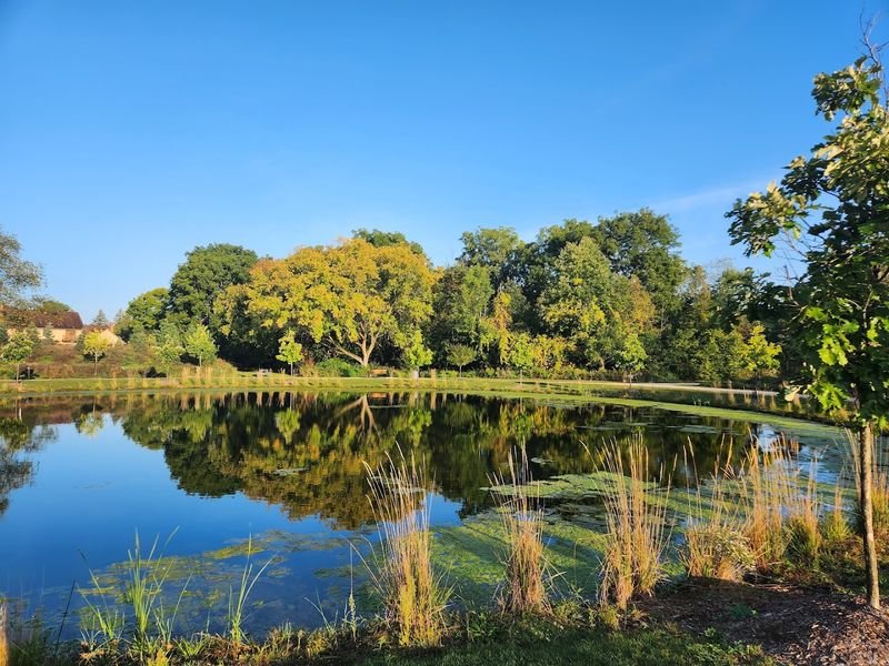 The Beautiful Pond and Wildlife Area