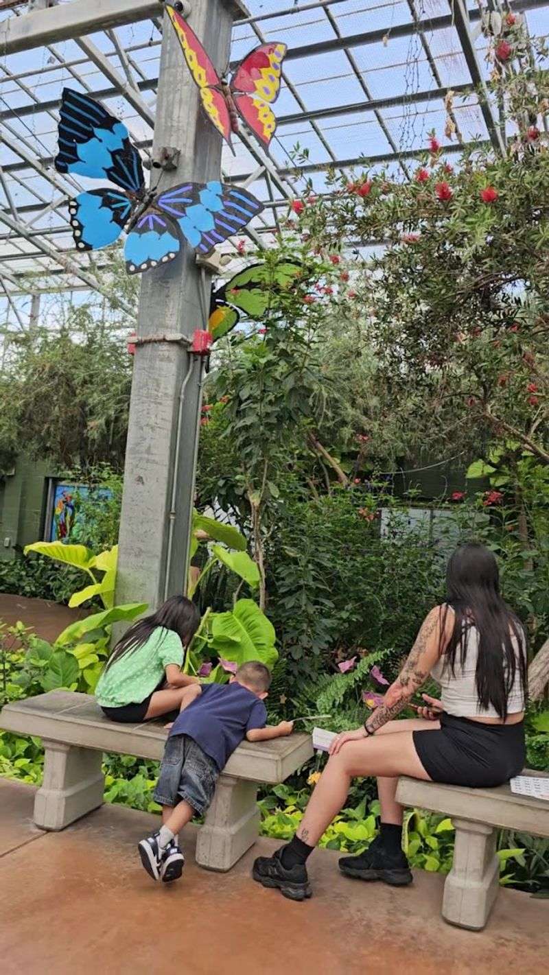 The Bee Exhibit