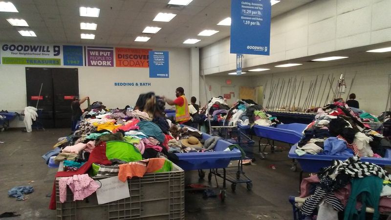 The Bin Shopping Experience You Have Never Seen Before