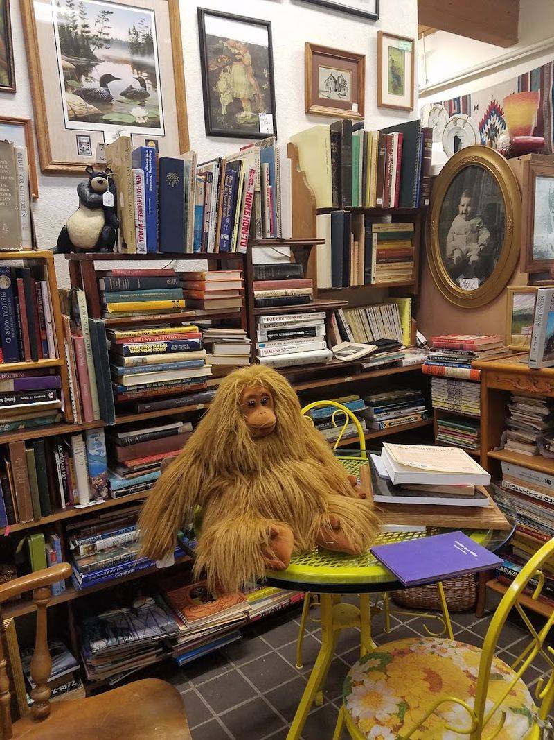 The Blind Date With a Book or Movie Section