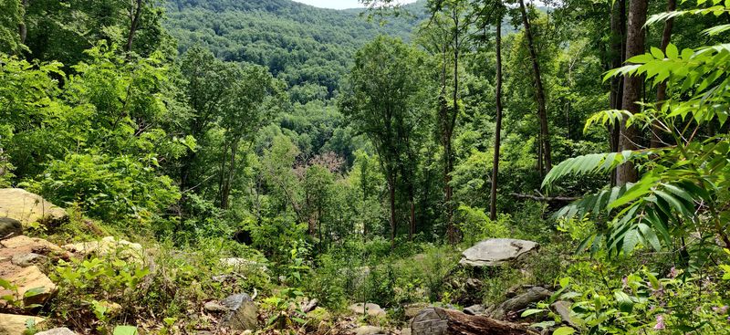 The Blue Ridge Escarpment: You Are Climbing Something Legendary