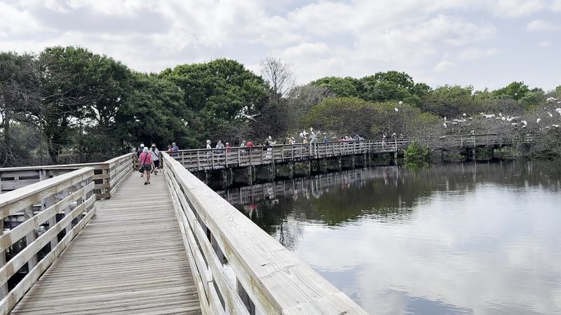 The Boardwalk Is an Engineering Marvel Over the Marsh