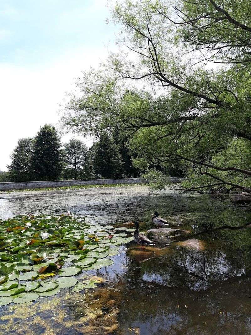 The Boat Lake That Brings Serenity to the City