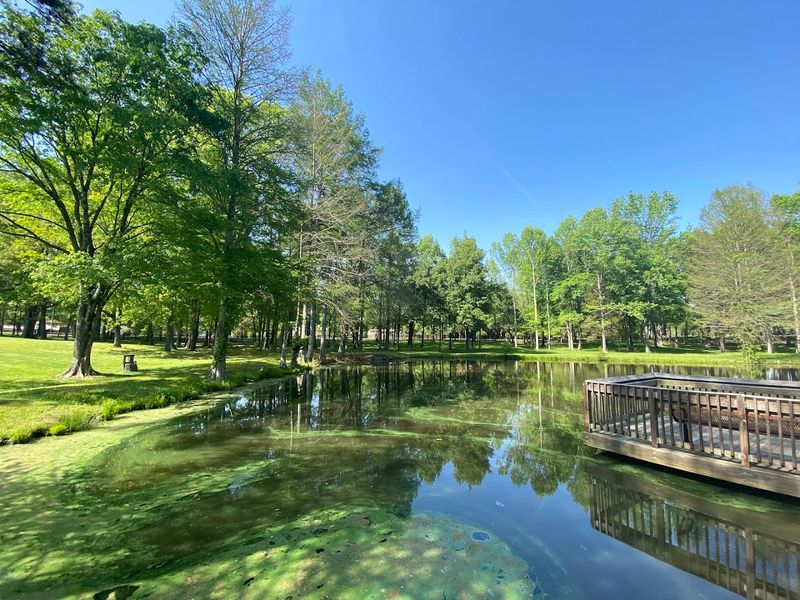 The Bog Garden: A Peaceful Nature Escape for the Whole Family