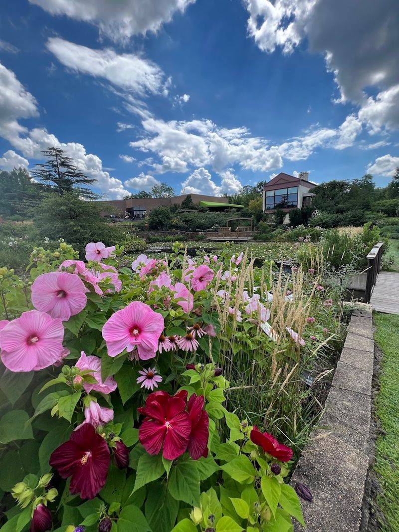 The Butterfly Garden: A Fluttering Little Surprise