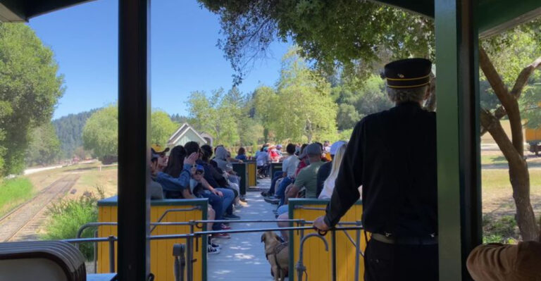 The California Steam Train That’s Been Chugging Through Ancient Redwoods Since 1963