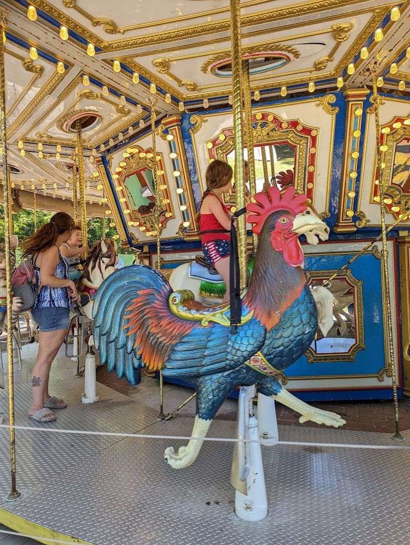 The Carousel and Playground Area