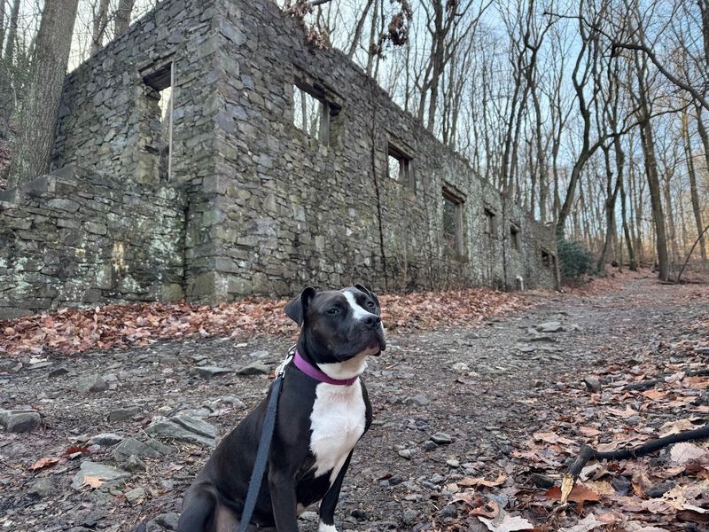 The Challenge of Hiking Mt. Misery Trail