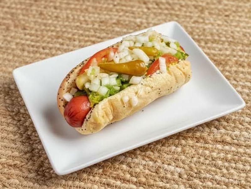 The Char Dog The Char Dog