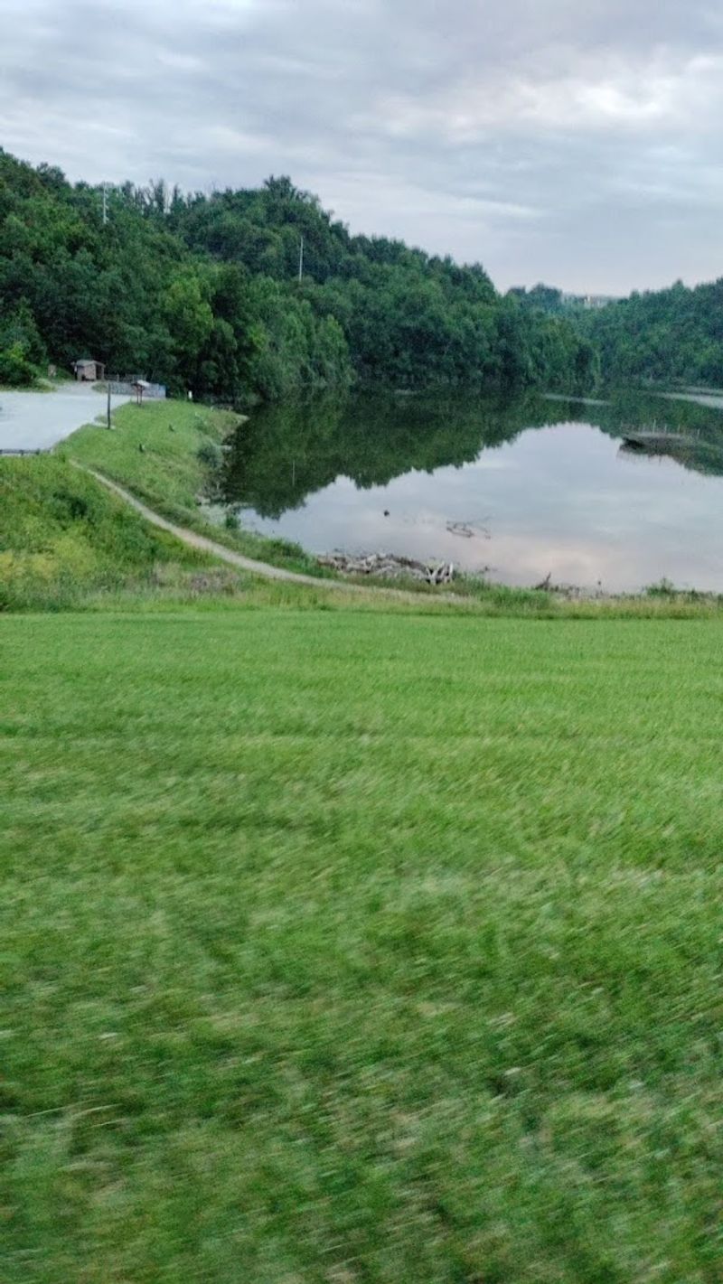 The Dam, the Stone Walls, and the Sounds That Melt Stress Away