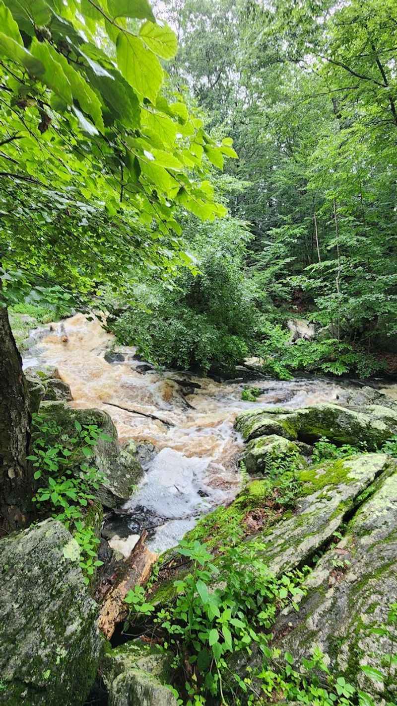 The Danforth Falls Loop Trail Overview