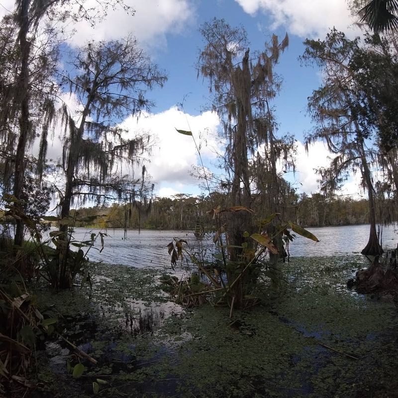 The Dead River Side Trip