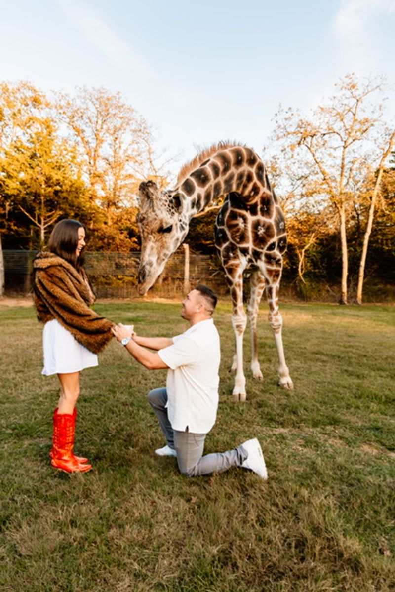 The Dinner and Wildlife Tour