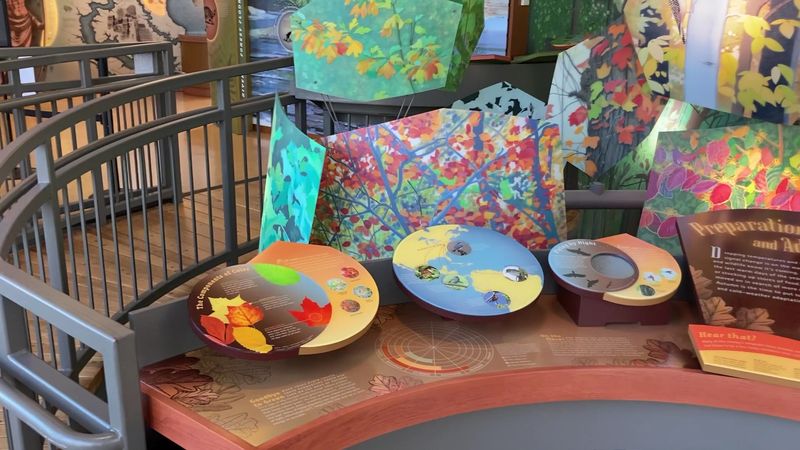 The Discovery Room for Little Explorers
