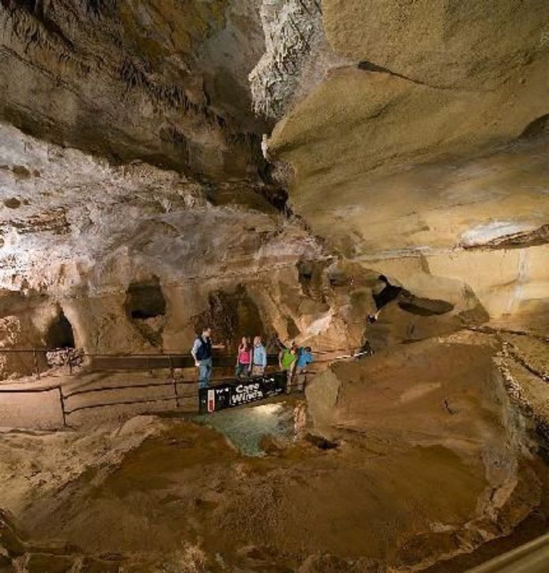 The Discovery Tour: Your Gateway Into The Cave