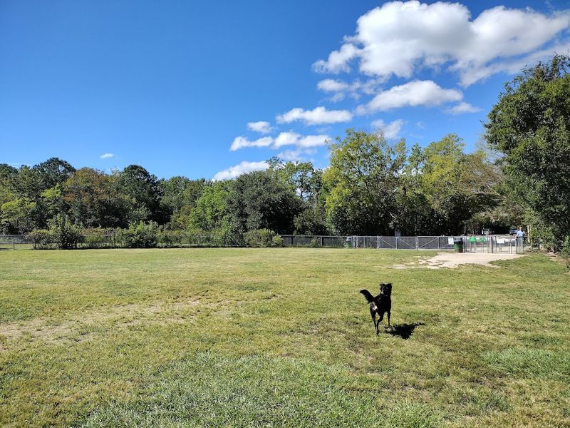 The Dog Park Is a True Paradise for Four-Legged Visitors The Dog Park Is a True Paradise for Four-Legged Visitors
