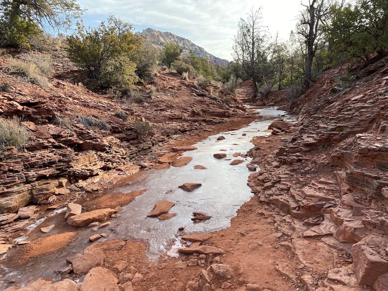 The Dry Creek Bed: A Unique Desert Landscape Feature The Dry Creek Bed: A Unique Desert Landscape Feature