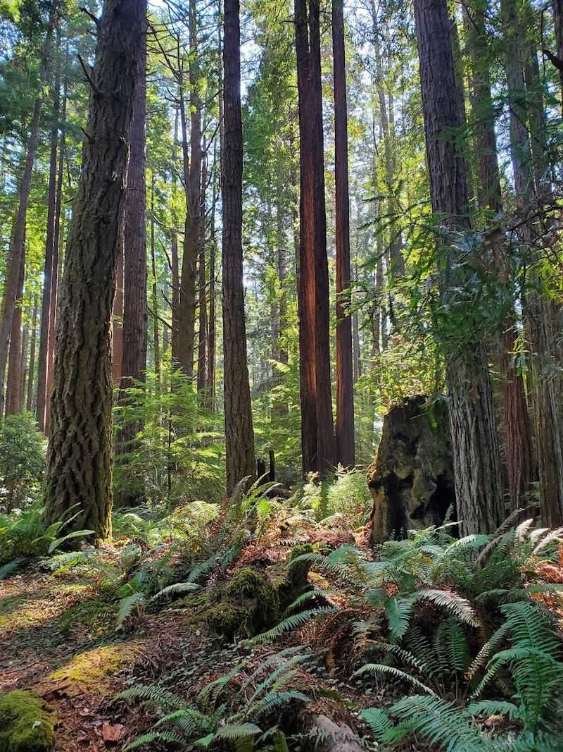 The Ecological Staircase Trail