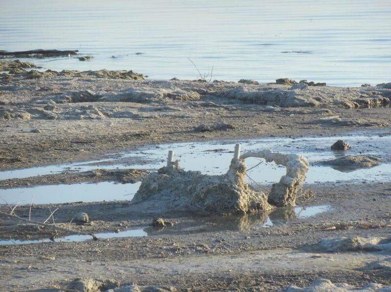The Environmental Crisis Behind the Decay
