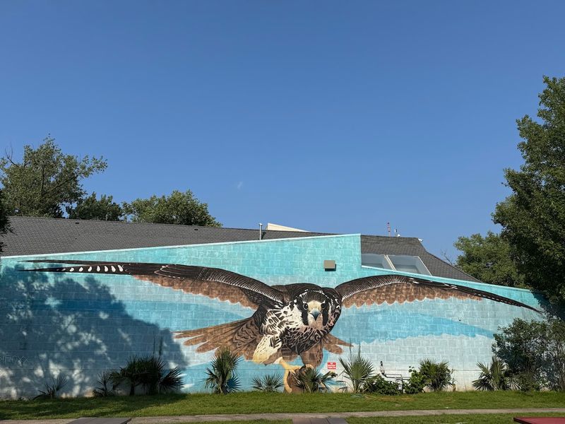 The Environmental Education Center