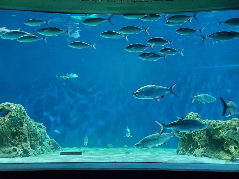 The Famous Aquarium Bathrooms You Have to See