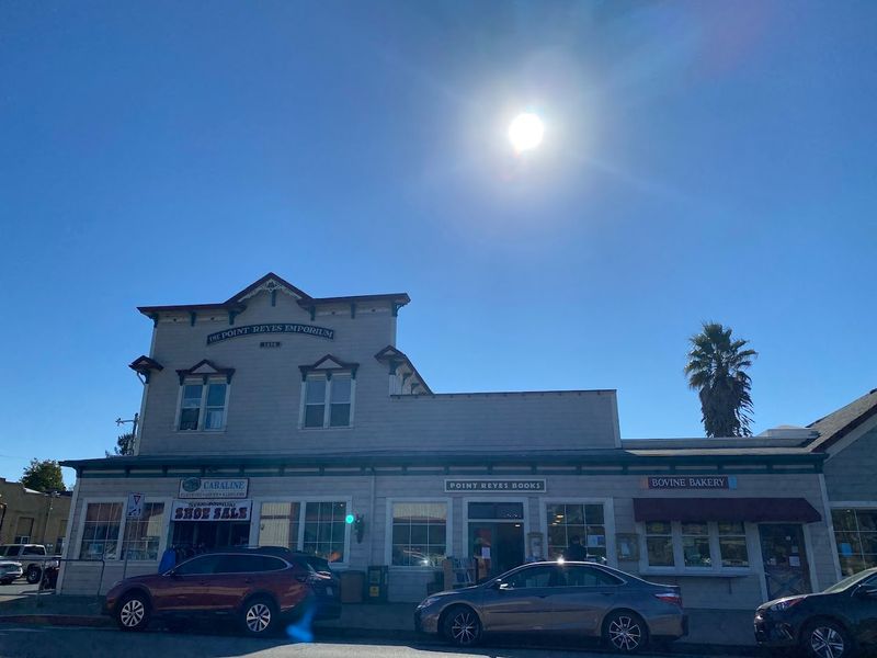 The Famous Bovine Bakery and Its Irresistible Morning Ritual